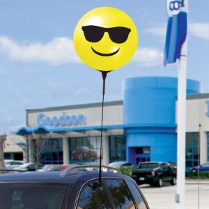 Reusable Vinyl Balloon Car Window Clips - Printed