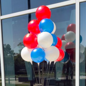 16-Balloon Outdoor Cluster with 8" Vinyl Balloons