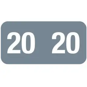ServiceFile Model Year Labels on Sheets - 2020