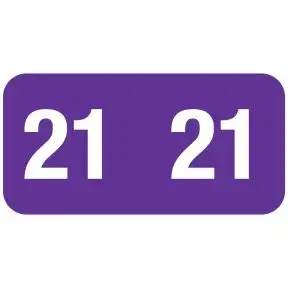 ServiceFile Model Year Labels on a Roll - 2021