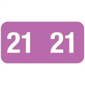 ServiceFile Model Year Labels on a Roll - 2021