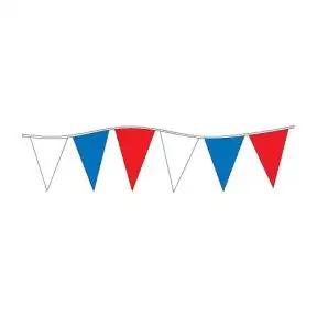 Multi Color Pennants - 105' String